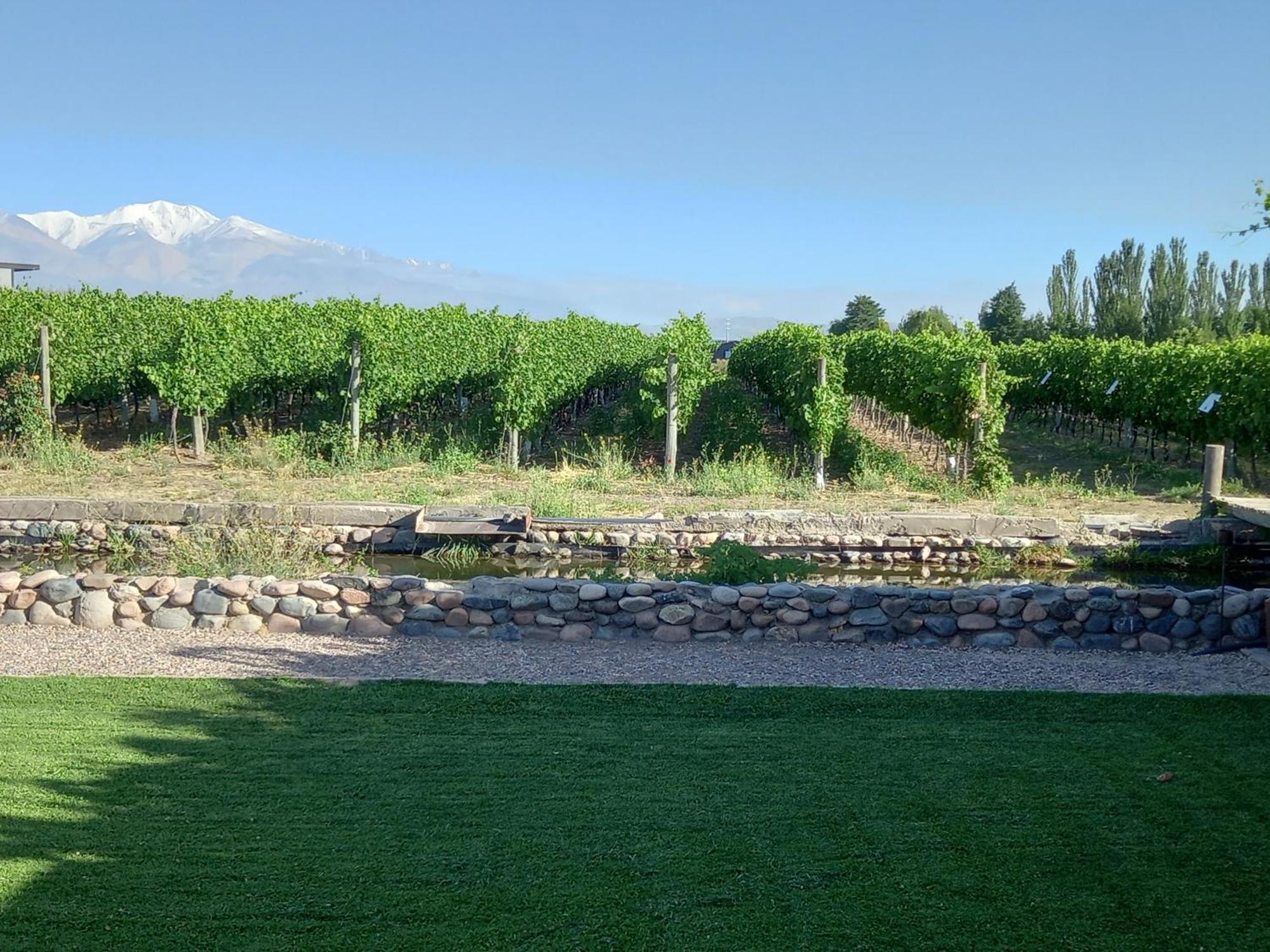 Lodge Divino Tupungato